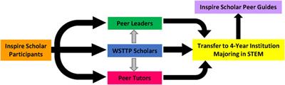 Increasing STEM Transfer Readiness Among Underrepresented Minoritized Two-Year College Students: Examining Course-Taking Patterns, Experiences, and Interventions